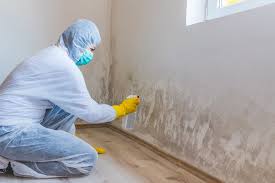 Best Asbestos and Lead Testing During Mold Inspection  in Manawa, WI